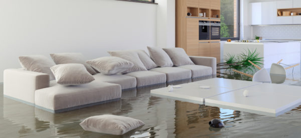 Curated visual reference: Fresh Look at Mr Flood Water Damage Flooded Carpet Drying Service Sydney